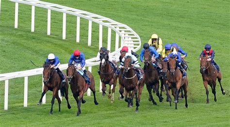 bet365 horse racing odds
